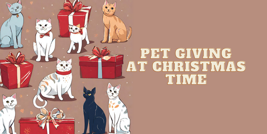 The Drawbacks of Gift-Giving Pets